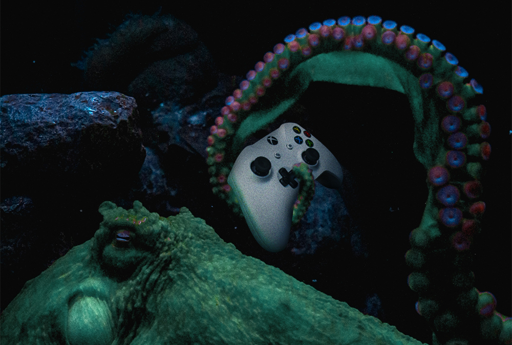 octopus holding a x-box gamepad